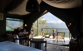 Madulkelle Tea And Eco Lodge